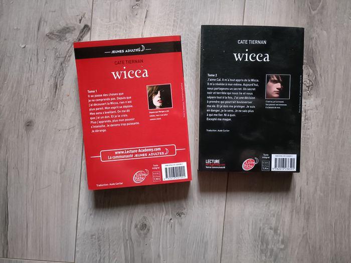 Lot de livres Wicca - photo numéro 2