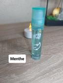 Gloss menthe