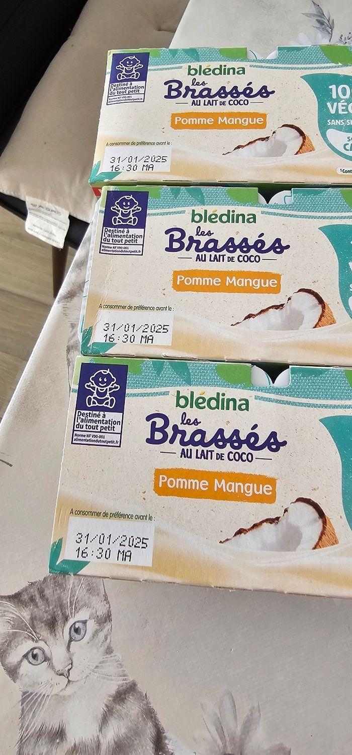 Brassé végétal au lait de coco Blédina - photo numéro 2