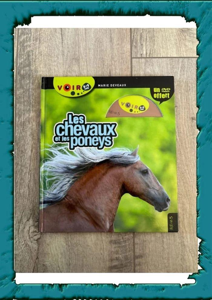 Les chevaux et poneys - photo numéro 1