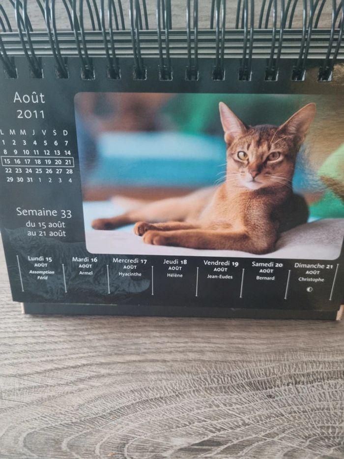 Calendrier des chats 2011 - photo numéro 2