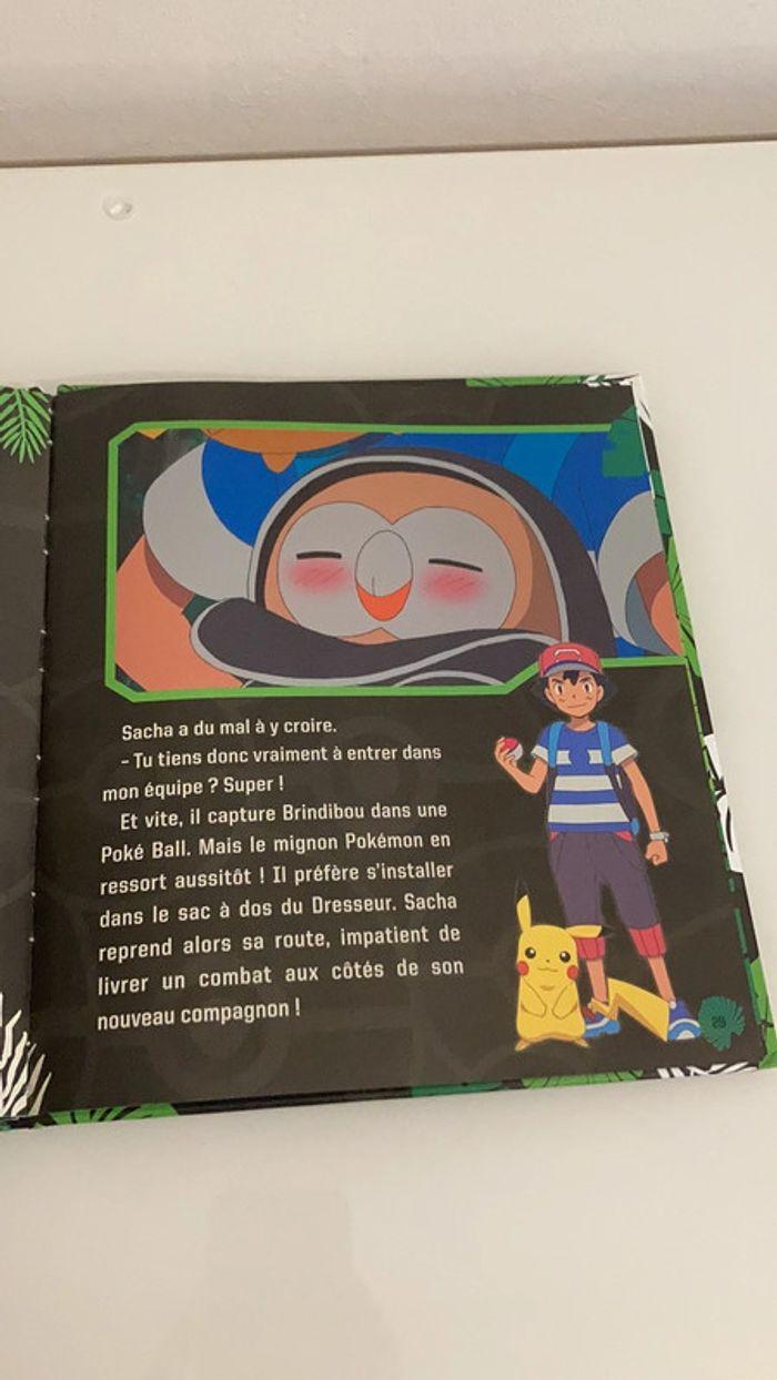 Livre pokemon - photo numéro 3