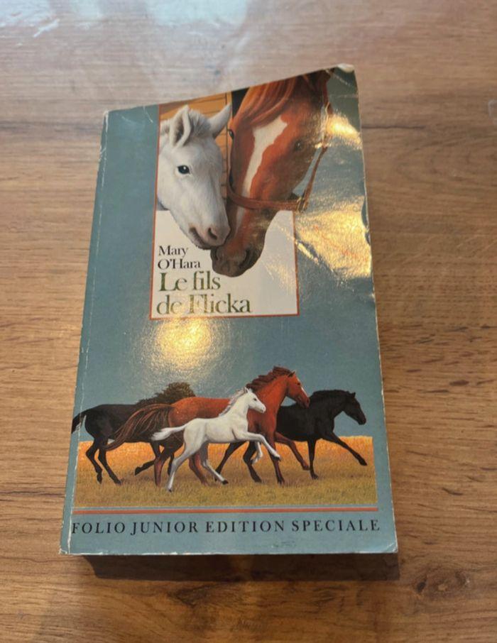 Livre sur les chevaux le fils de Flicka - photo numéro 1