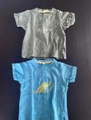 2 T-shirt garçon / manche courte garçon lot