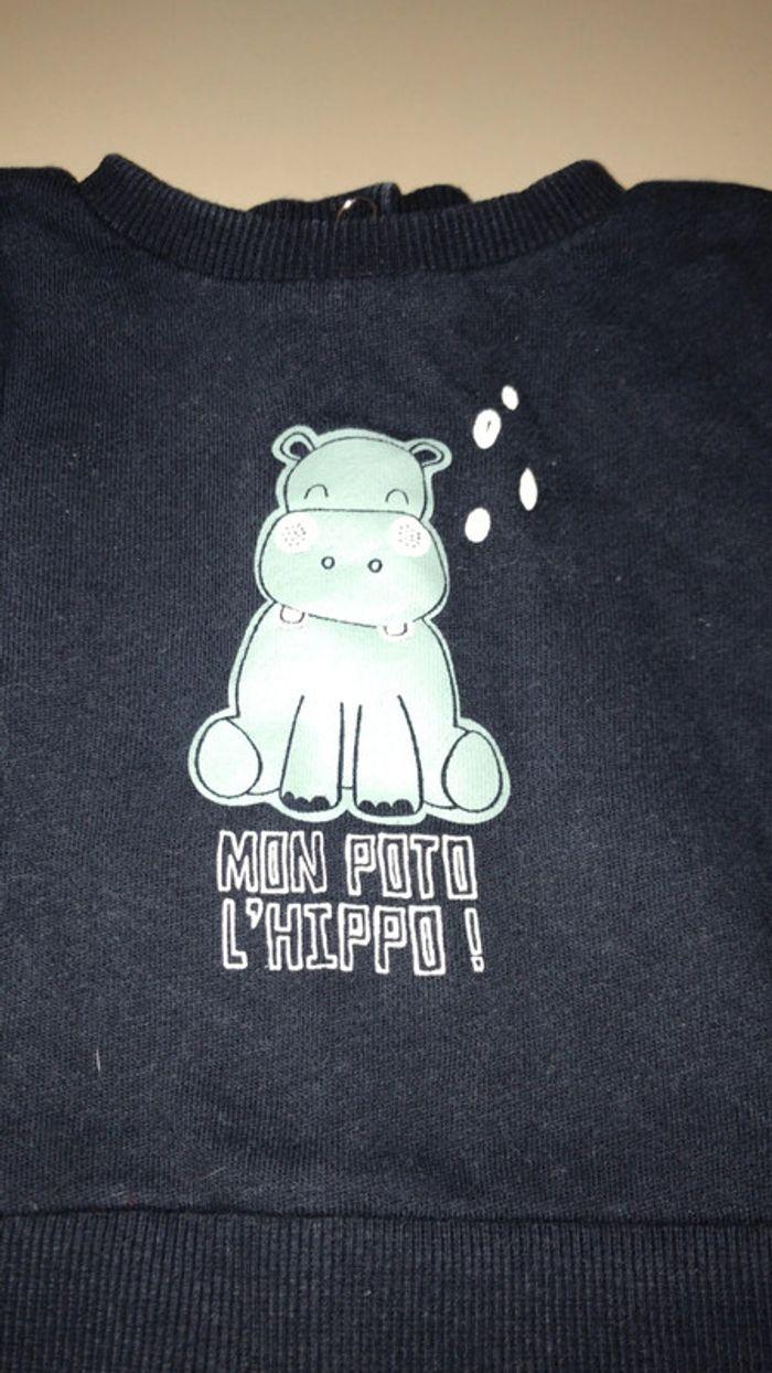 Pull hippo - photo numéro 2