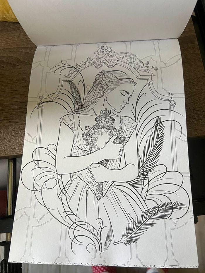 Livre coloriage - photo numéro 3