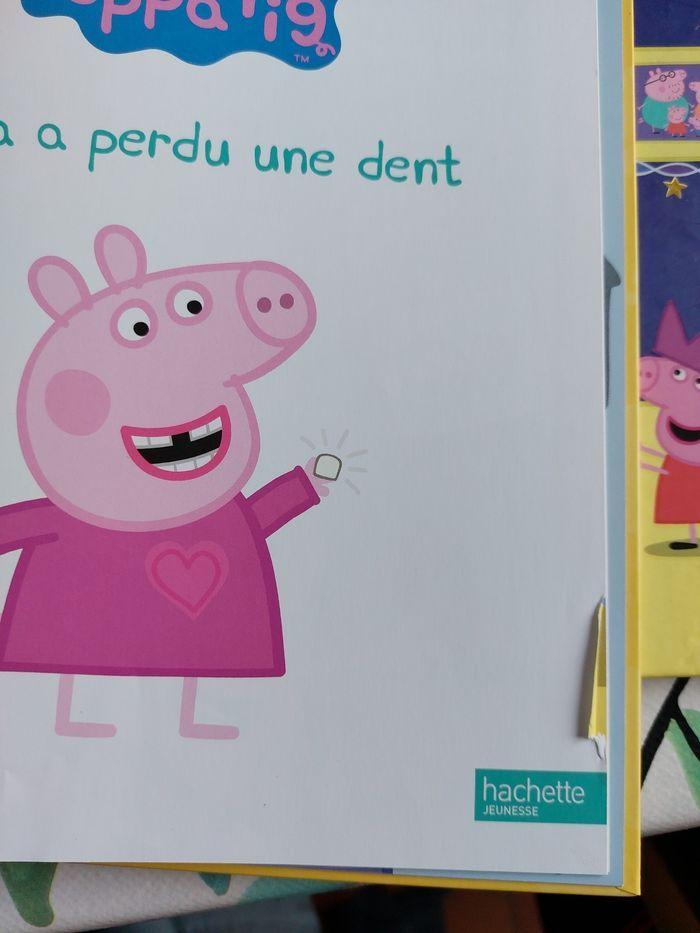 Livres Peppa Pig - photo numéro 3