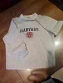 Sweat Harvard