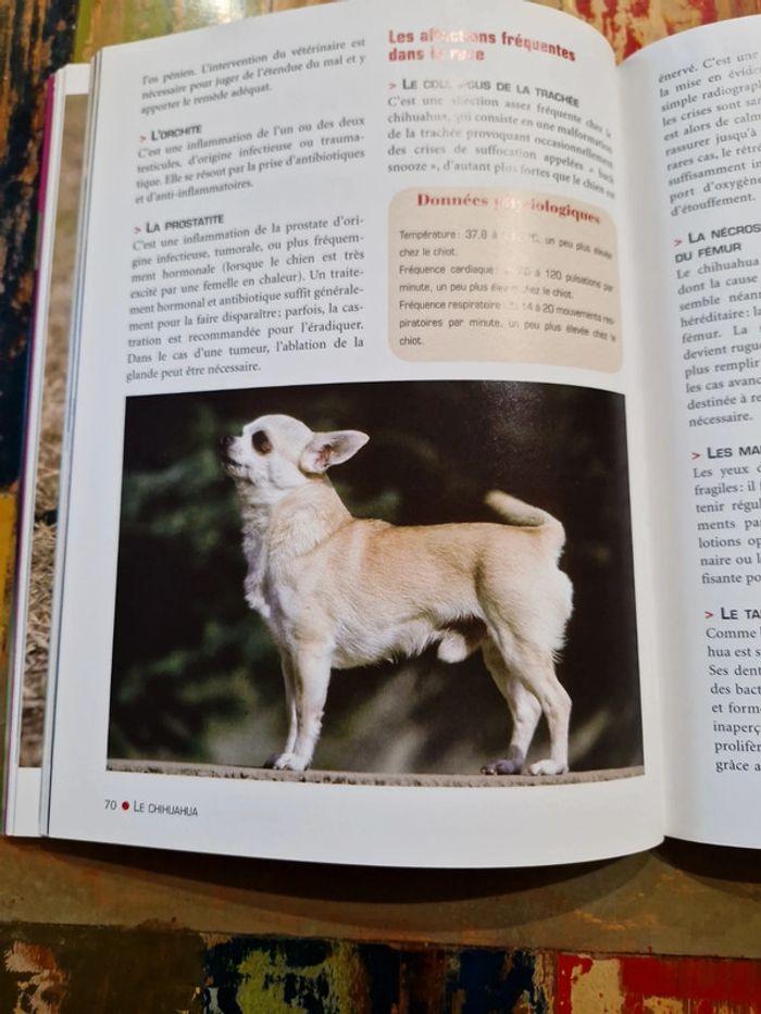 Livre Le chihuahua - photo numéro 3