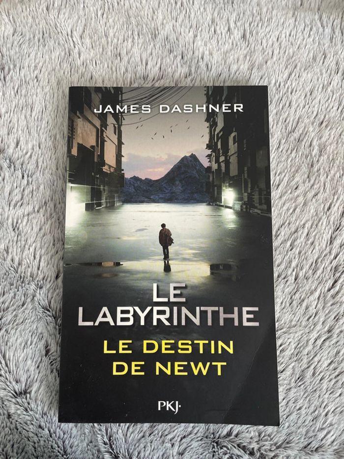 Livre « Le destin de Newt » de James Dashner - photo numéro 1