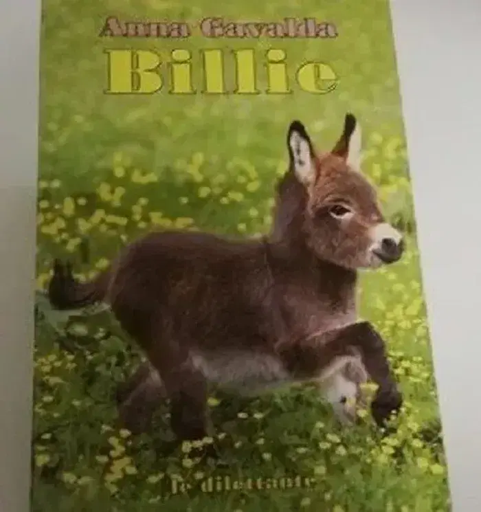 Livre Billie - anna gavalda en tres bon etat