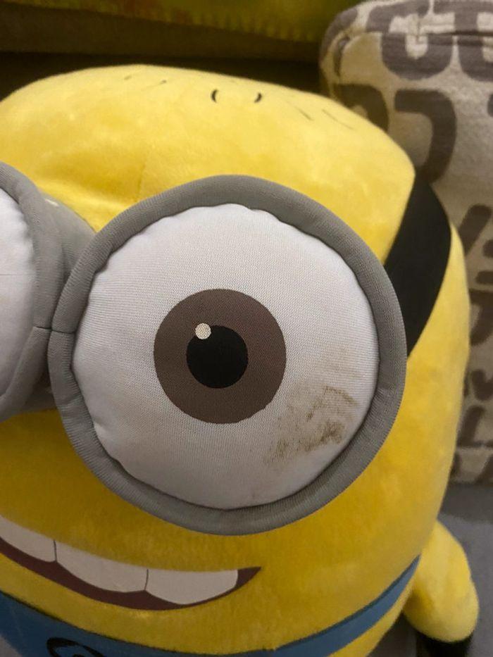 Minion - photo numéro 2