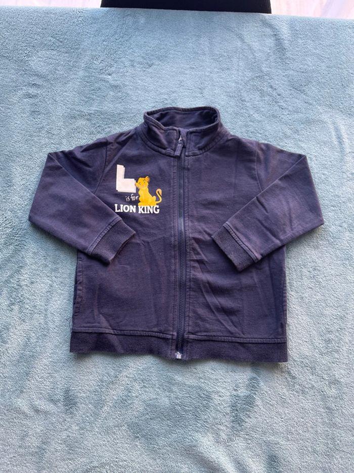 Gilet zippé 2-3 ans - photo numéro 1