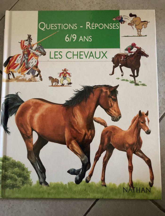 Livre sur les chevaux - photo numéro 1