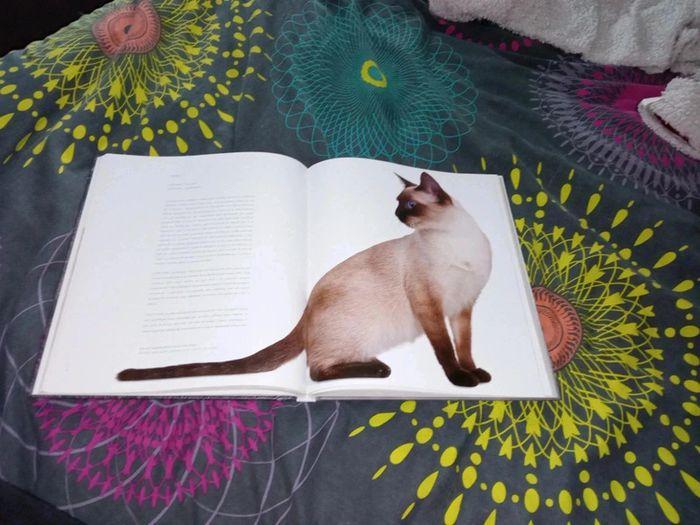 Livre photographies de chats - photo numéro 4