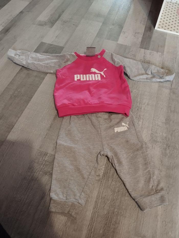 Ensemble puma