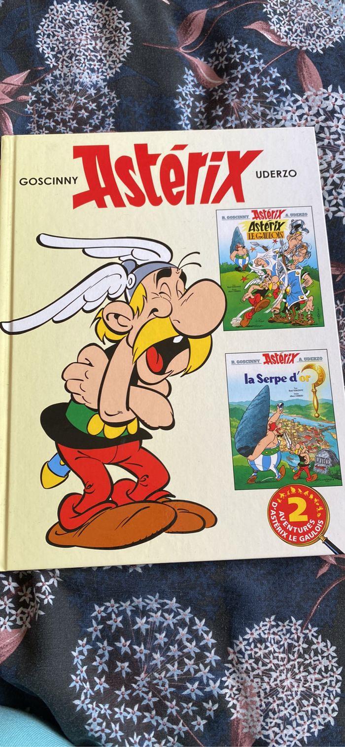 BD Asterix - photo numéro 2