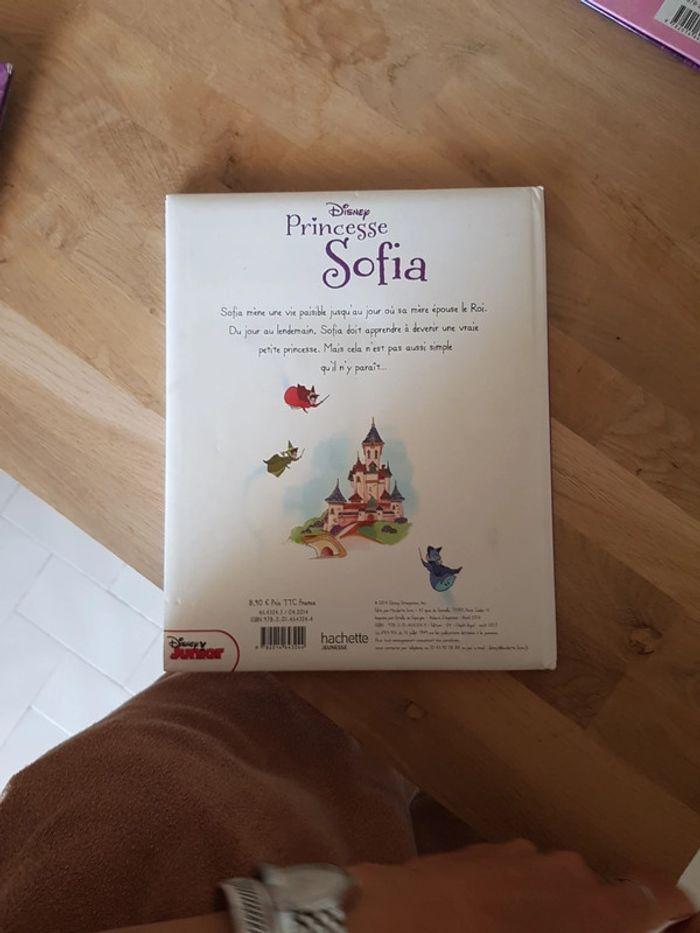 Lot de 3 livres Princesse Sofia - photo numéro 7