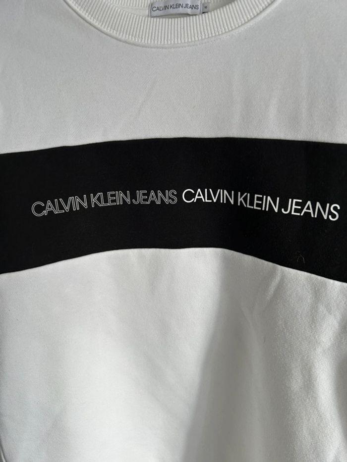 Sweat Calvin Klein 16 ans - photo numéro 3