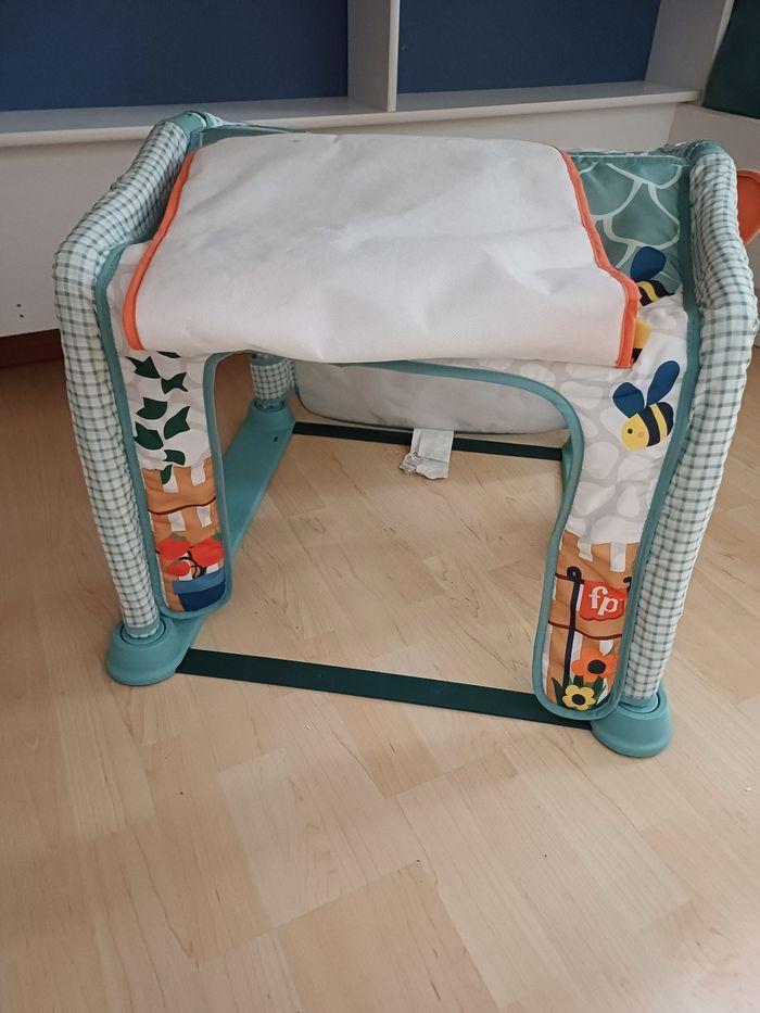 Tapis d'éveil fisher price - photo numéro 5