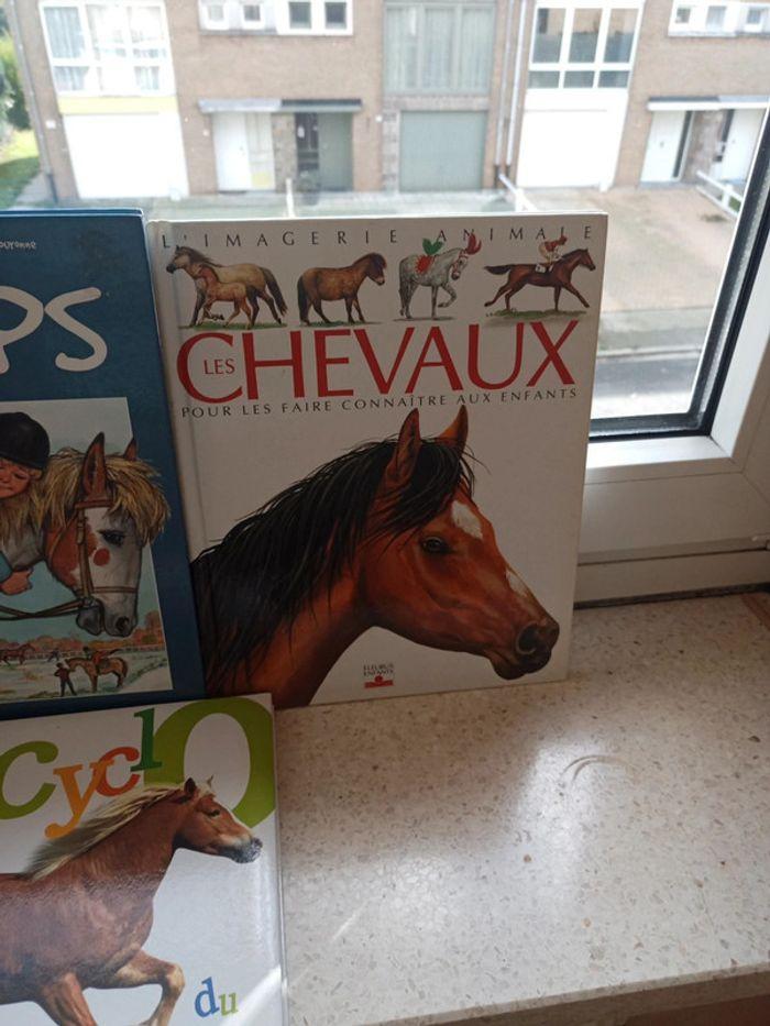 Lot de livres sur les chevaux - photo numéro 3