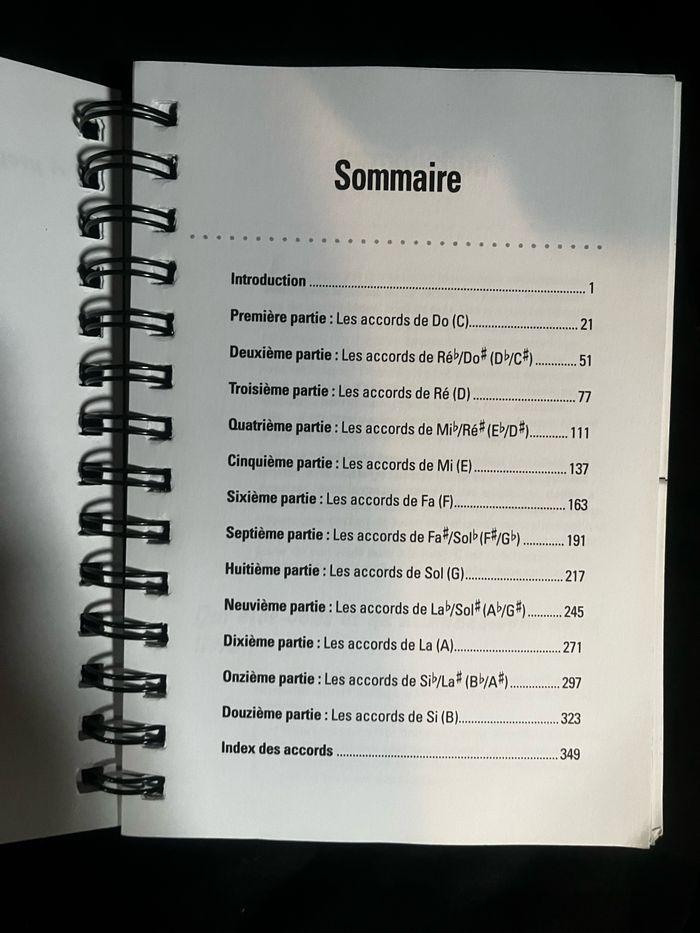 Livre guitare pour les nuls - photo numéro 5