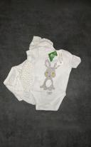 Lot de 3 body en coton Aubert