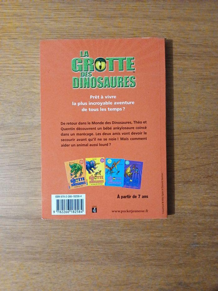 Lot la grotte des dinosaures - photo numéro 7