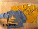 Lot de T-shirt T 18mois