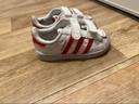 Basket superstar adidas taille 21