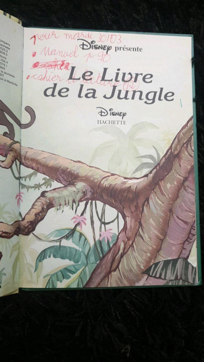 Livre Le livre de la jungle - photo numéro 3