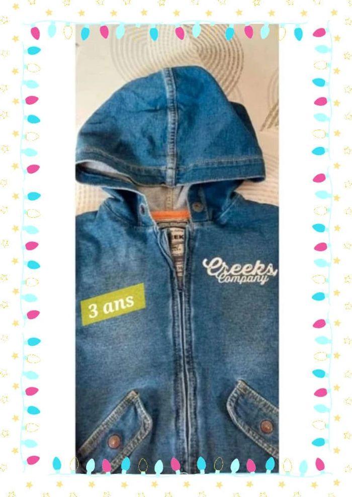 Veste à capuche en jean fermeture zippée garçon 3 ans - photo numéro 2