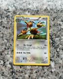 Carte Pokémon française Dodrio rare, 100/135, Tempête Plasma, état neuf