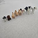 Lot chien playmobil