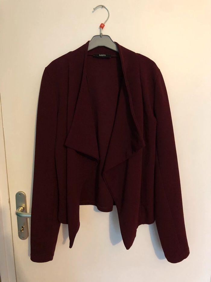 Blazer bordeaux - photo numéro 3