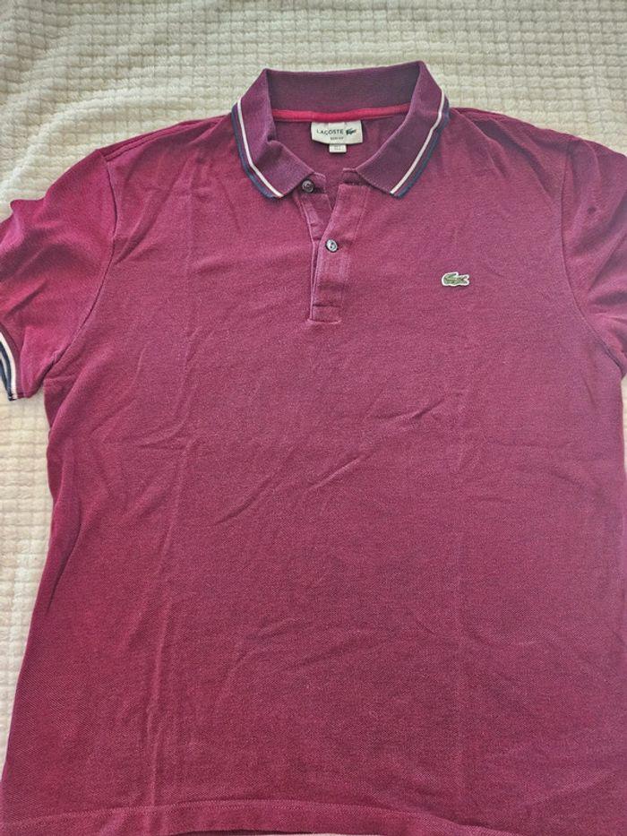 Polo bordeaux - photo numéro 1