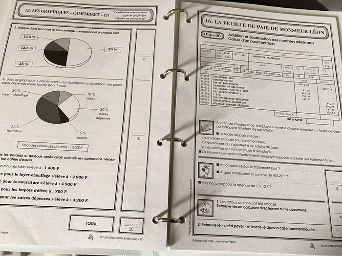 Situations problèmes CM2 . MDI - photo numéro 4