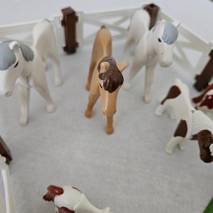 Chevaux et enclos playmobil - photo numéro 3