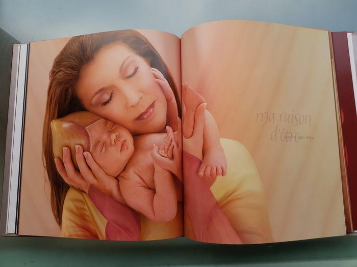 Livre Miracle Céline Dion et Anne Geddes + CD et DVD - photo numéro 2