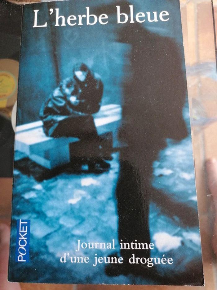 Livre "l'herbe bleue" journal intime d'une jeune droguée - photo numéro 1