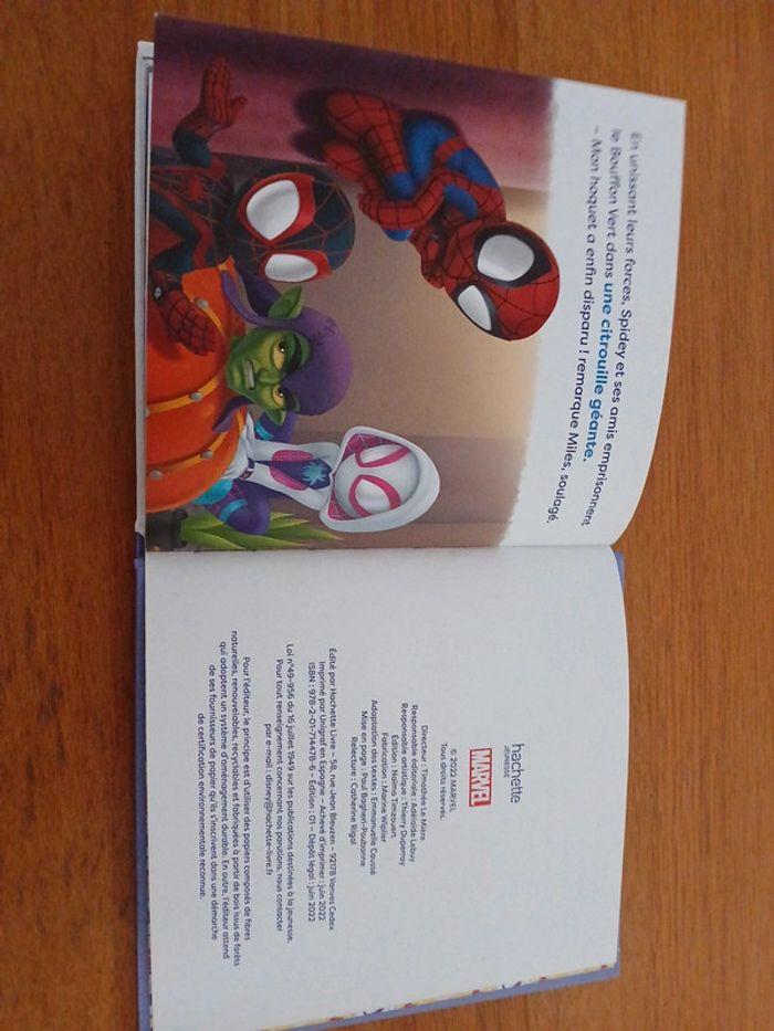 Spidey amis extraordinaires - photo numéro 13