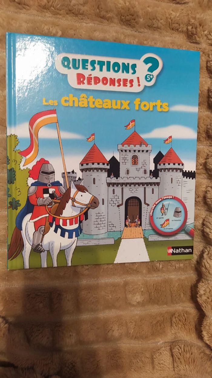 Livre Châteaux forts - photo numéro 1