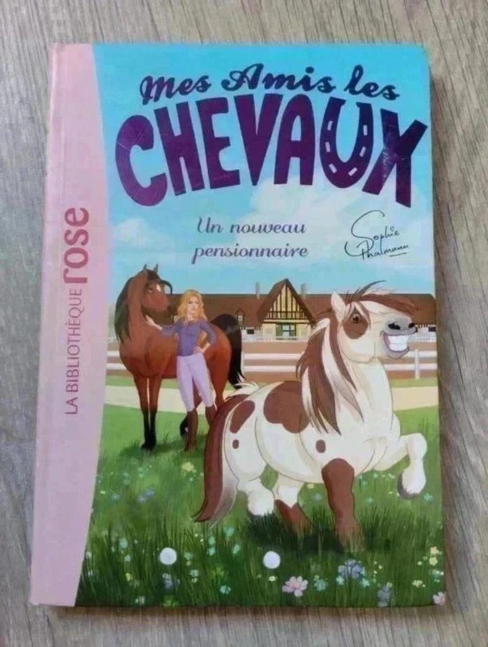 🌺 Livre Mes amis les chevaux La bibliothèque rose - photo numéro 1