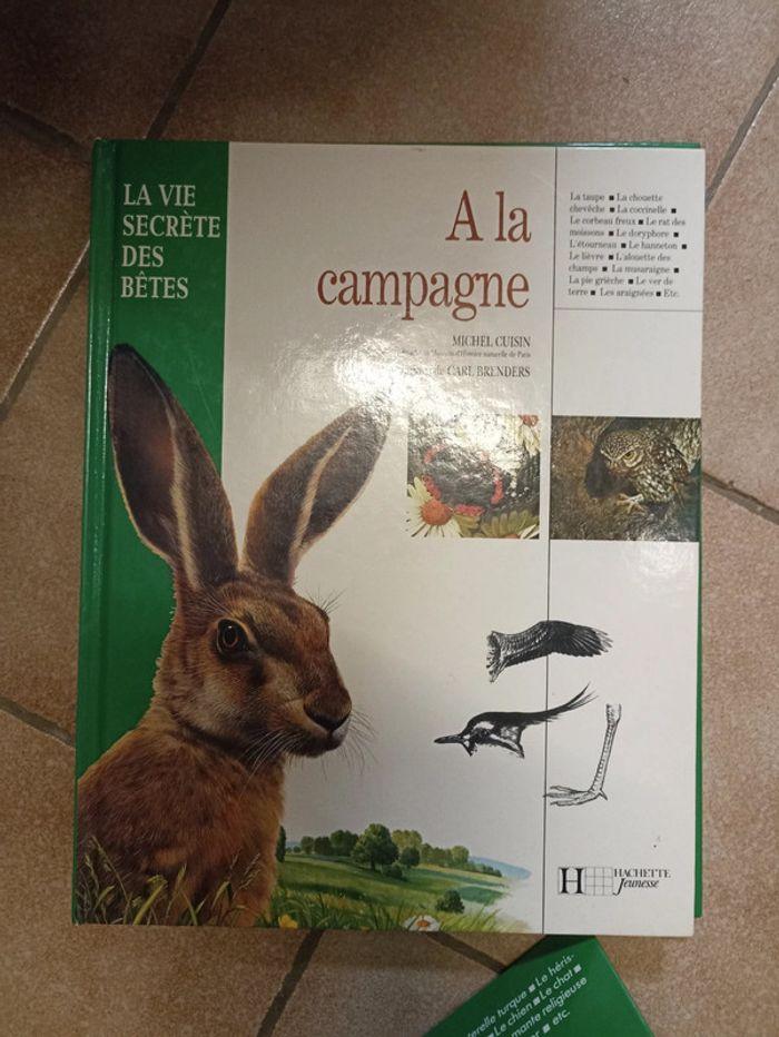 Livre sur les animaux - photo numéro 5