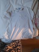 Polo t m satisfaisant