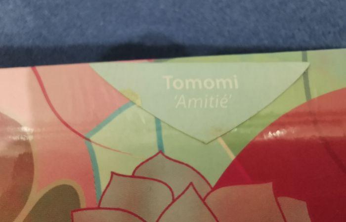 Carnet notebook Kimmidoll modèle Tomomi /  Amitié - photo numéro 5