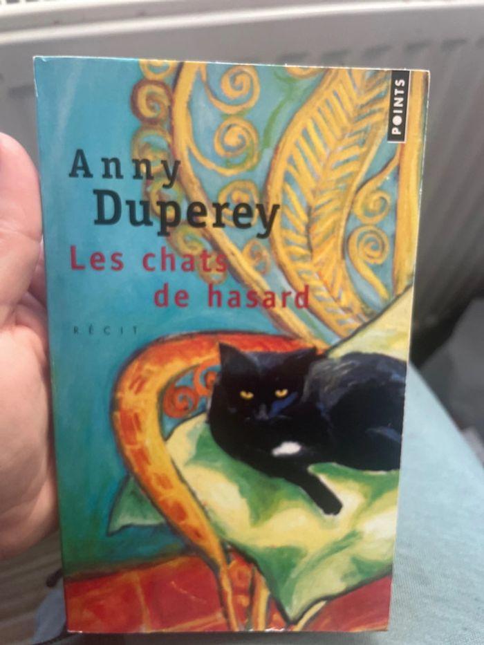 Les chats de Hasard - photo numéro 1