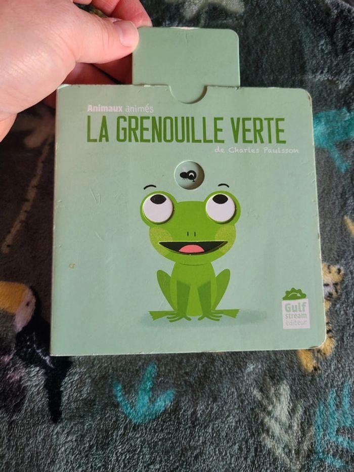 La grenouille verte - photo numéro 2