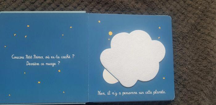 Petit Prince, où es-tu caché ? - photo numéro 6