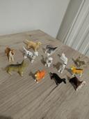 Lot races de chien miniatures